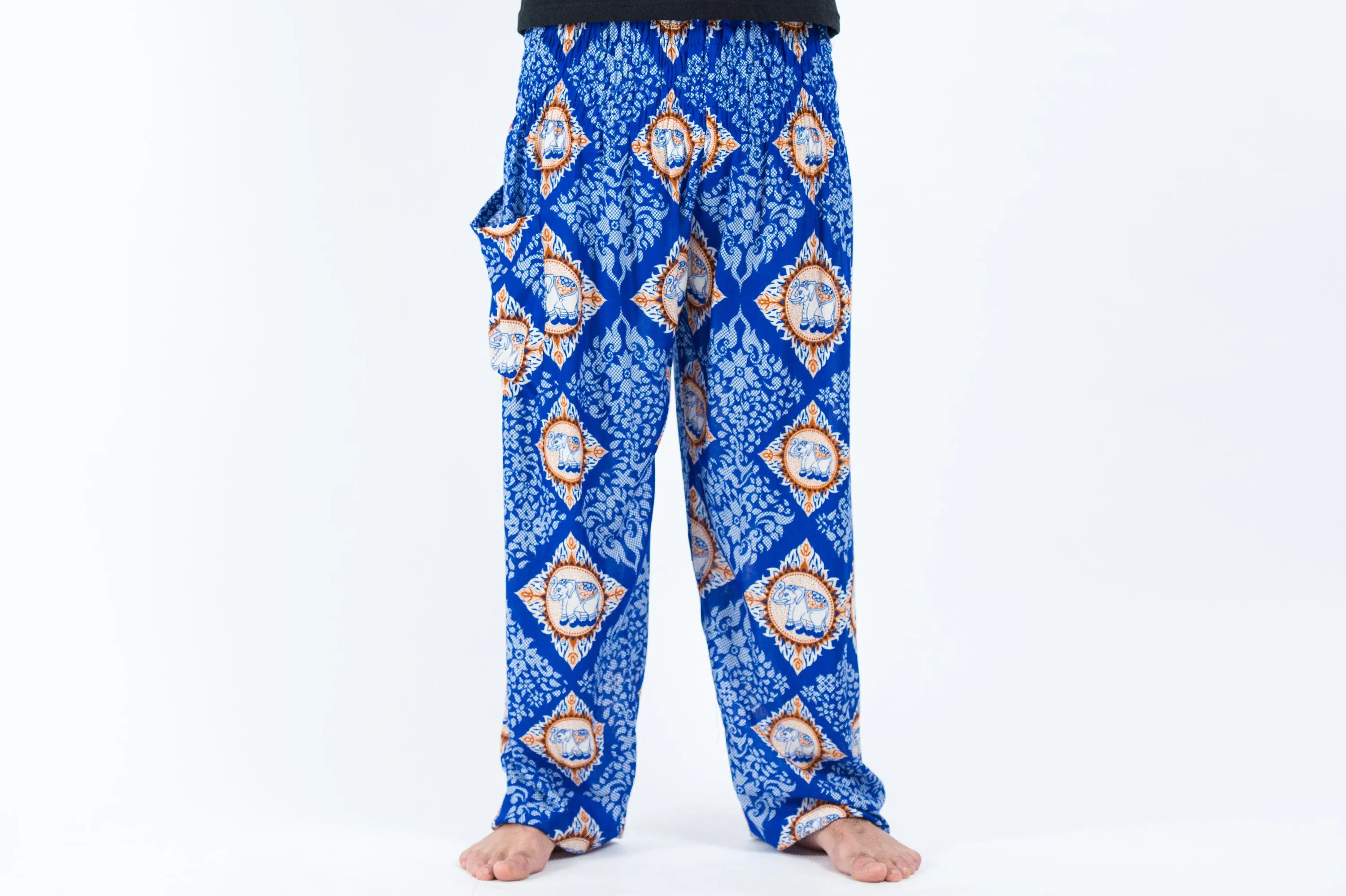 Diamond Elephant Men's Elephant Pants in Blue