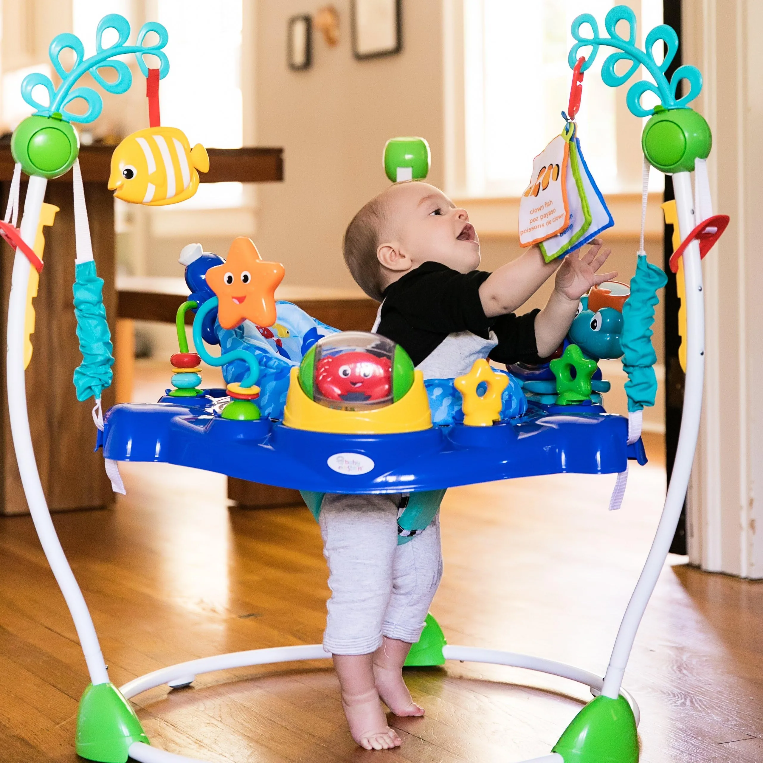 Neptune's Ocean Discovery Jumper.