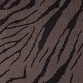 Zebra Print Button Front Shirt Dress